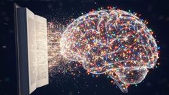 Lectura